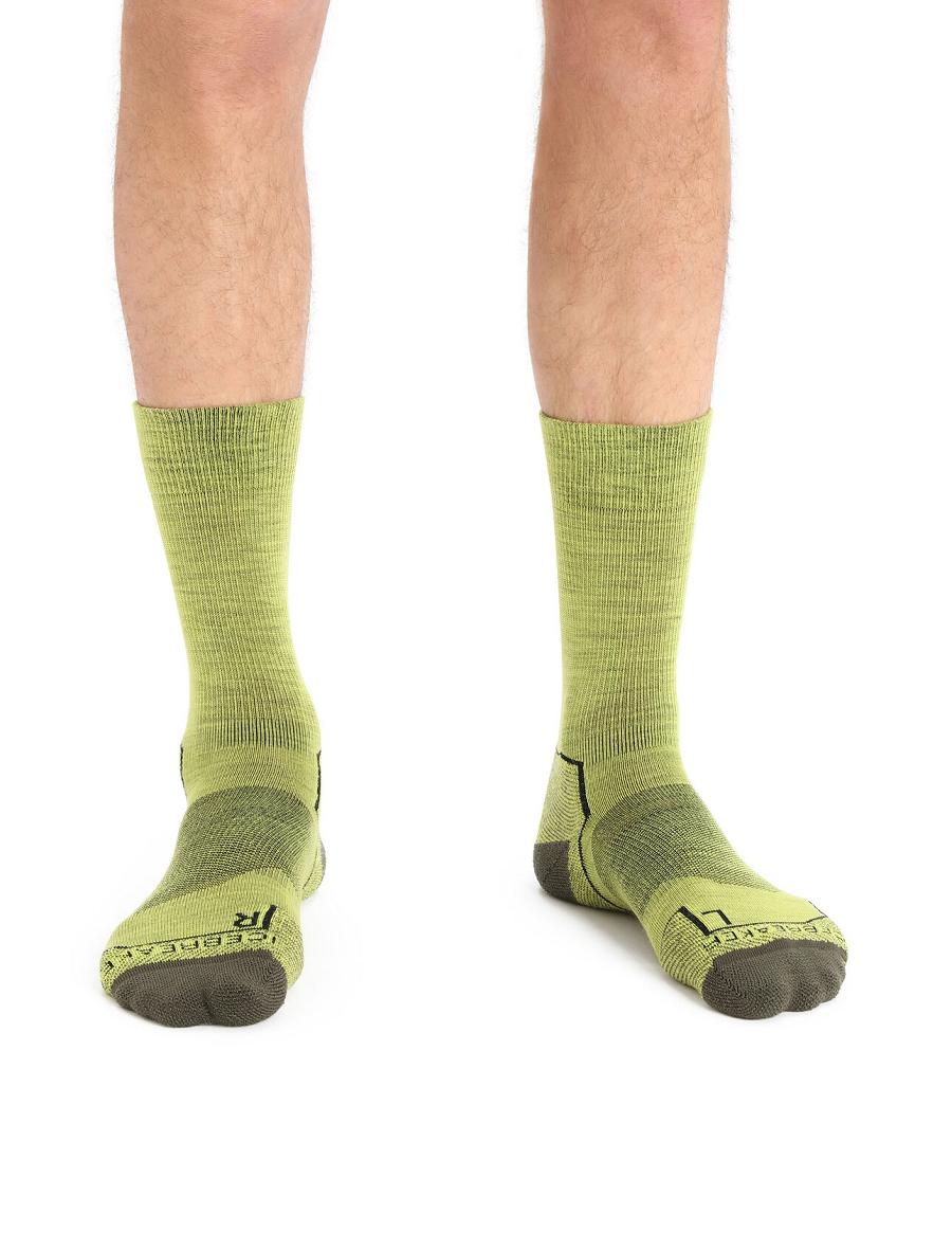 Shine / Loden Men's Icebreaker Merino Hike+ Light Crew Socks | USA 1040HAPK